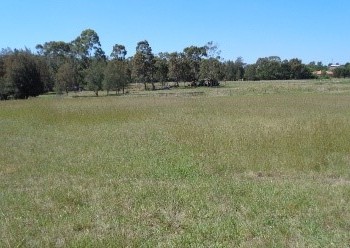 Camden Valley Way, Catherine Field1